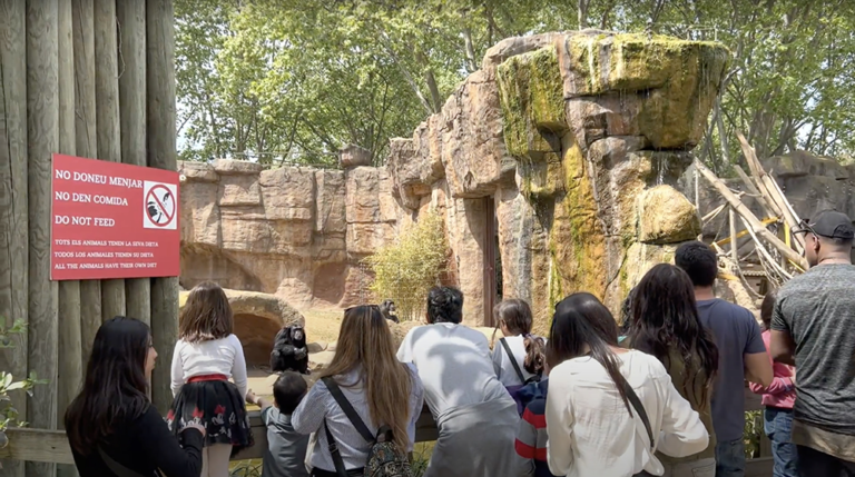 Se convoca el día 24 en el Congreso el Foro ‘Grandes Simios y Parques Zoológicos’