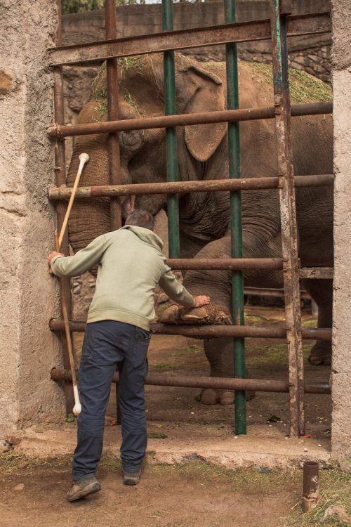 TammyEntrenamiento